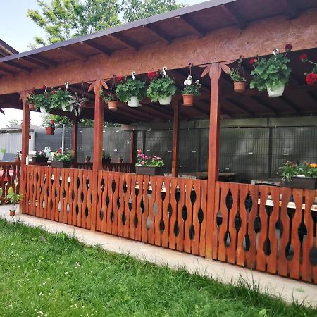 Hotel Vila Baciu Tuzla Exterior foto
